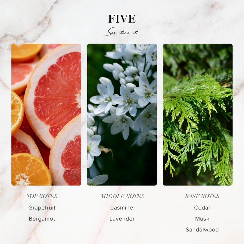 Scentiment - Five Designer Collection Diffuser Oils | Aromatherapy Home Fragrance | Luxurious Scent with Notes of Grapefruit, Lavender, Musk (20 mL) - Image 3